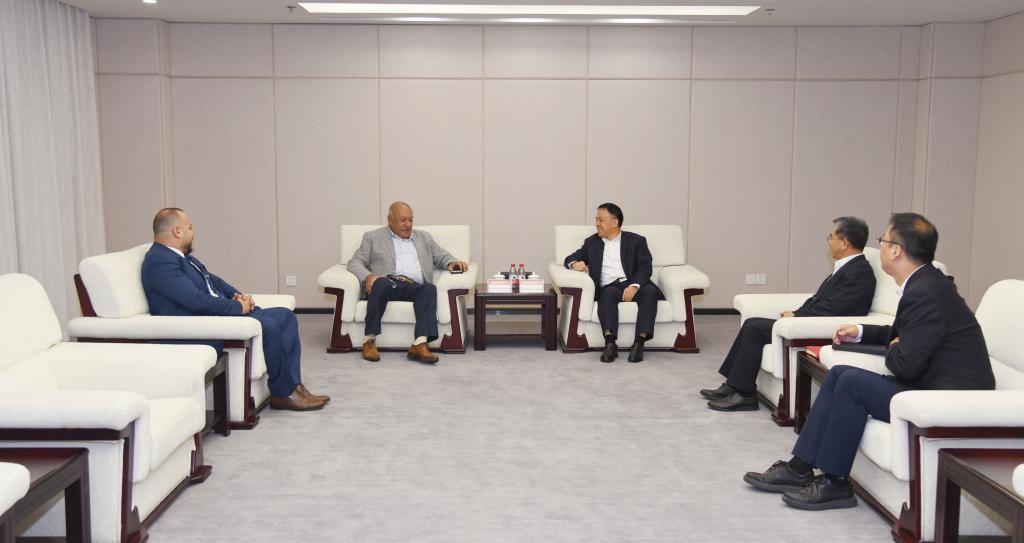 丁小林、赵启会见埃及EGEMAC董事长Medhat Ramadan先生一行